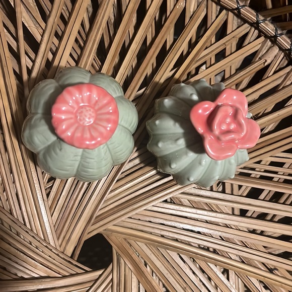 Set Of Cute Little Cactus Succulent Plants Garden Home Office Decor Paperweight - Picture 3 of 7